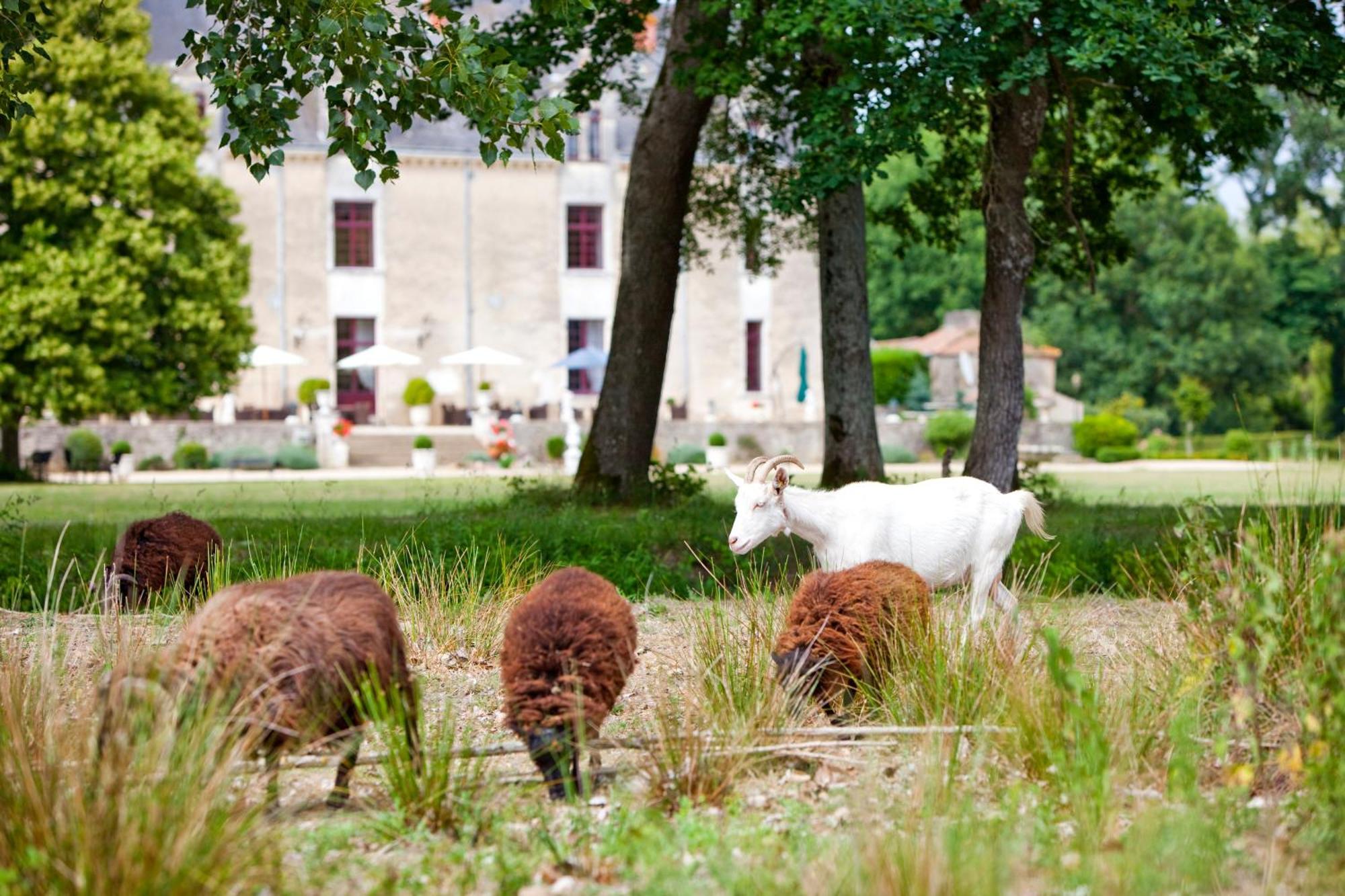 שאלאן Chateau De La Verie מראה חיצוני תמונה